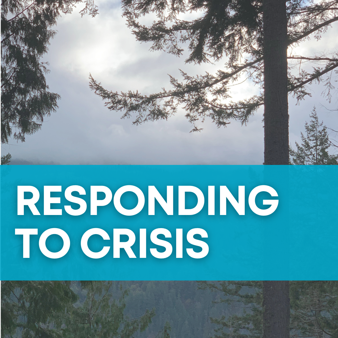 An image from Whatcom County with a teal banner with white text that reads "Responding to Fentanyl Crisis"